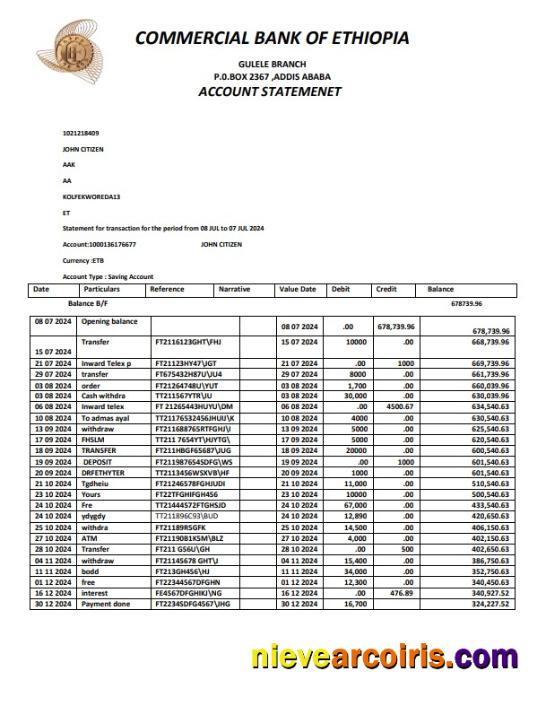 ETHIOPIA COMMERCIAL BANK OF ETHIOPIA Bank statement, Word and PDF format, version 2